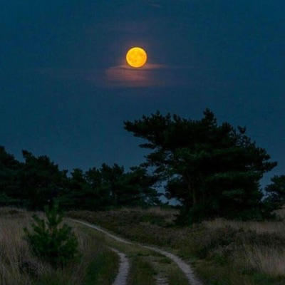 Jeden krok (feat. Mein) - Single