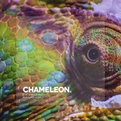 Chameleon artwork