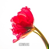 Germinans - Single