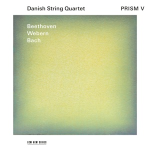 String Quartet No. 16 in F Major, Op. 135: IV. Der schwer gefaßte Entschluß. Grave, ma non troppo tratto – Allegro