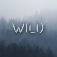 Wild - Single - shocky