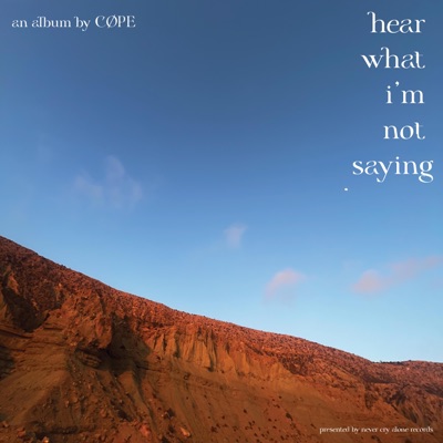 Hear What I'm Not Saying