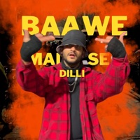 Baawe Mai Dilli Se - Single - Shimmm