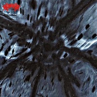 Seraphim - Single - Aspekt