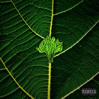Spinach - Single - Lil Zib, Theisy & Cheeky