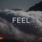 Feel artwork