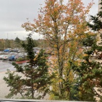 Sauce It Up - Single - carbine