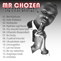 The 1st Chapter - mr chozen