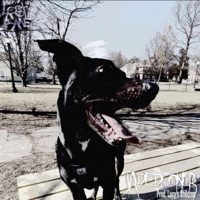 Dog Park - Single - Jadedloner