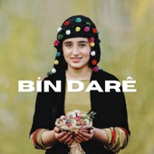 Bin Daré artwork