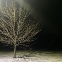 my lover - Single - Fisheyedom