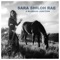 Milwaukee - Sara Shiloh Rae & Bluebird Junction lyrics