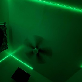 Highestintheroom That Yb Ant
