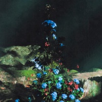 У меня есть всё - Single - Yungcold