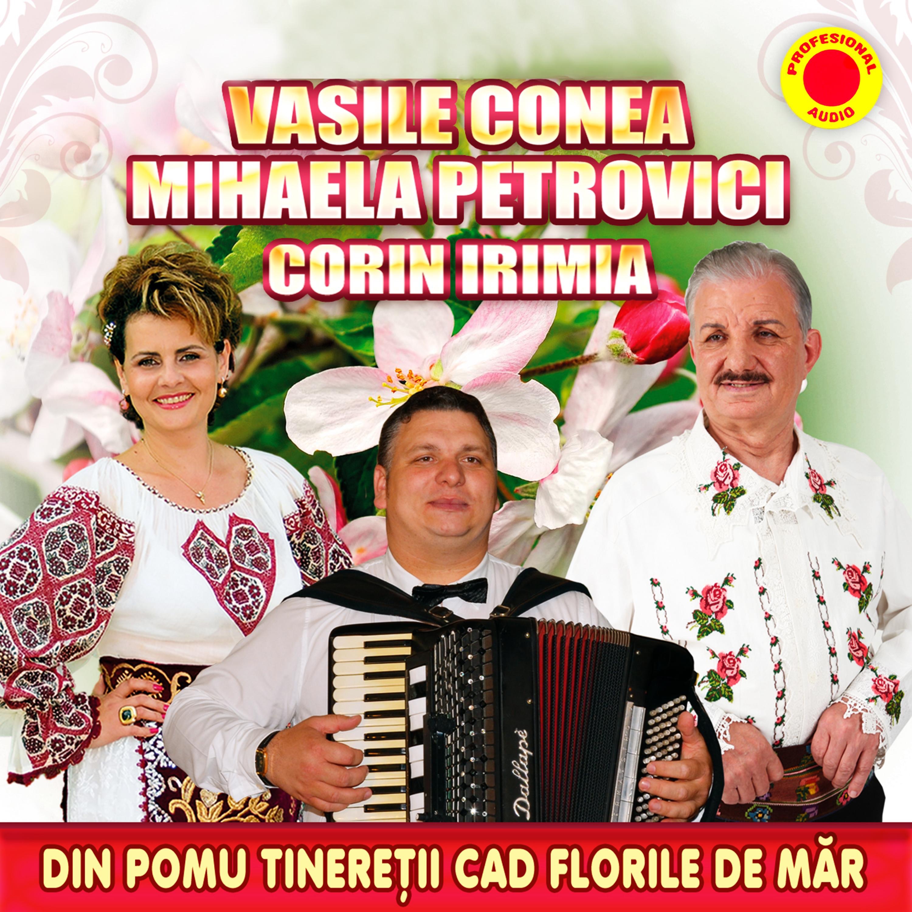 Din Pomul Tineretii Cad Florile De Mar (feat. Corin Irimia)
