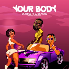 Your Body (feat. DJ Sly King) SkayDee
