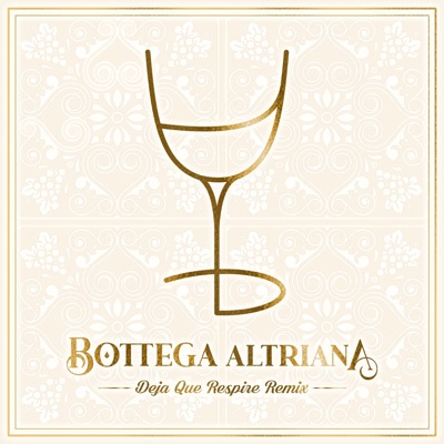 Deja Que Respire (feat. Javier del Futuro) [Diggie Dealer Remix] - Single