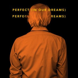 Perfect (In Our Dreams) Rick Treffers