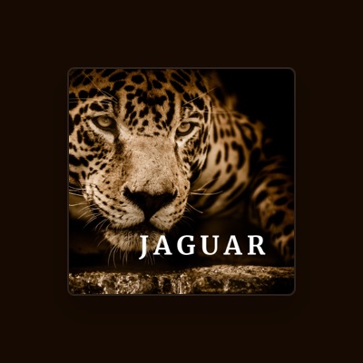Listen to Jaguar, watch music videos, read bio, see tour dates & more!
