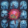 Stimulate cover art