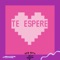 Te Esperé (Freestyle) - Acid Bath lyrics