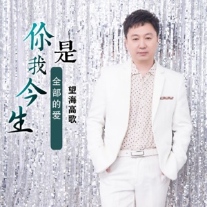 你是我今生全部的爱 - Single