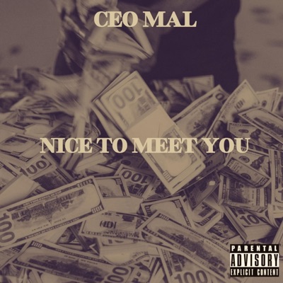 Nice To Meet You - Single