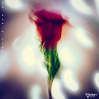 Lo How a Rose - Single - Elly Kace