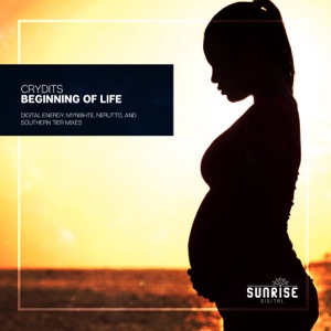 Beginning of Life