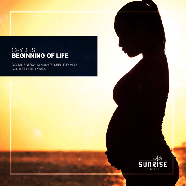 Beginning of Life