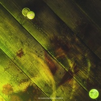 ZOMBIE - Single - Diemdi & Blackout