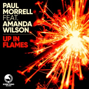 Up in Flames (feat. Amanda Wilson) - Single