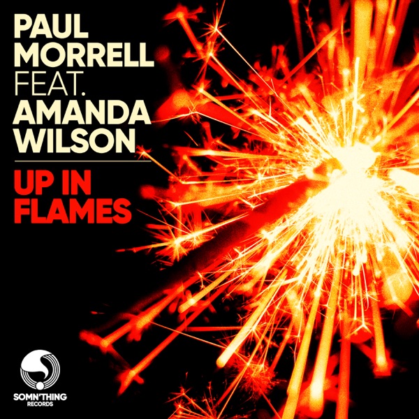 Up in Flames (feat. Amanda Wilson) - Single