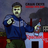 Песни про вас - Саша Скул