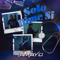 Sólo Dime Si - Single - Los Tamayo