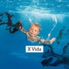X Vida - Single