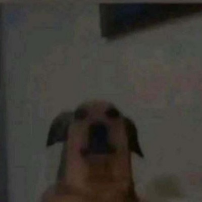 Abohar - _1Wmp حميدان ابو العرك