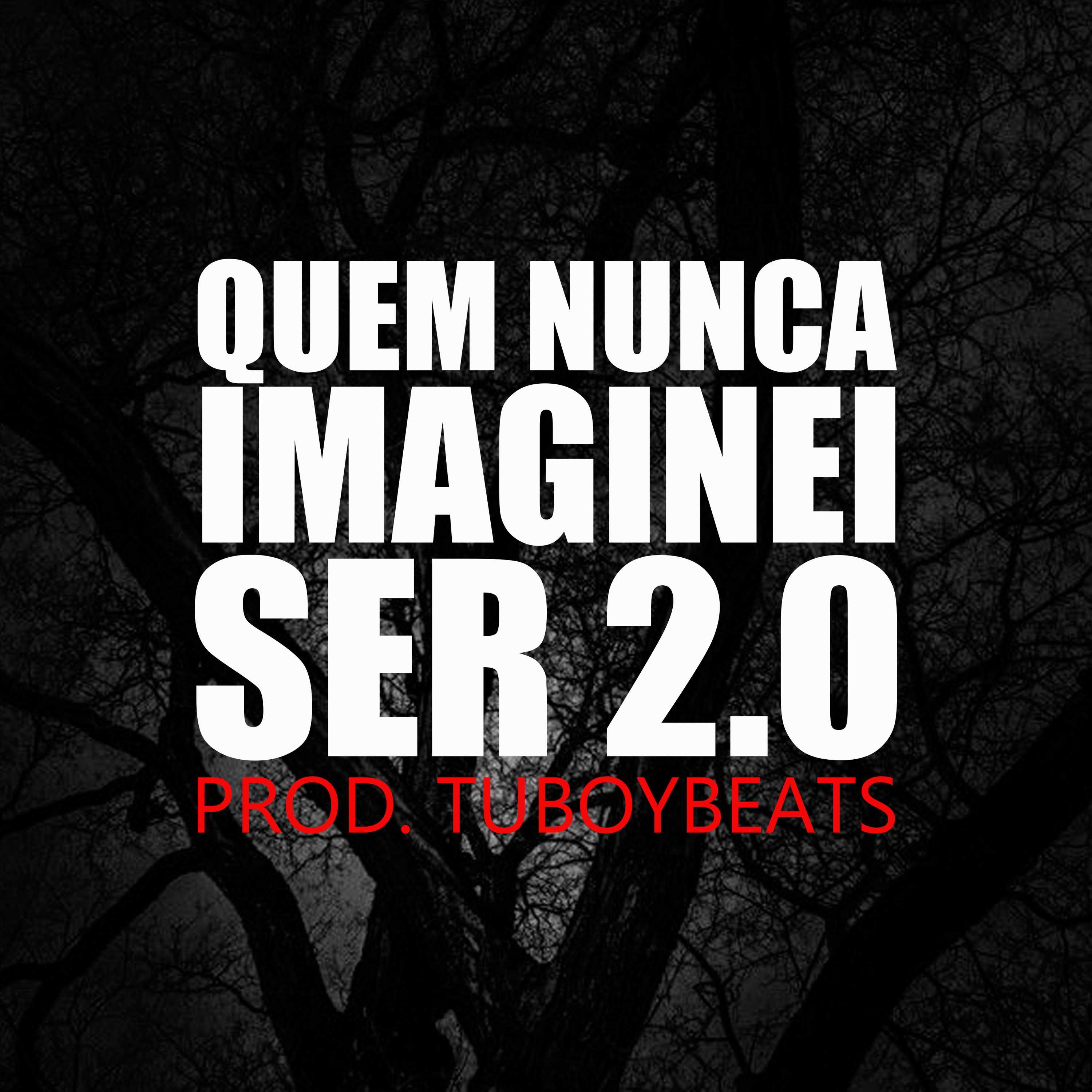 Quem Nunca Imaginei Ser 2.0 - Single