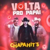 Volta Pro Papai - Single