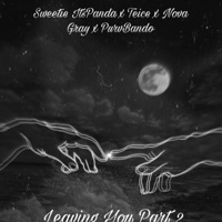 Leaving You, Pt. 2 (feat. Nova Gray, Teice & PurvBando) - Single - Sweetie ItsPanda
