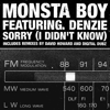 Sorry (I Didn't Know) (Original Radio Edit) - Monsta Boy