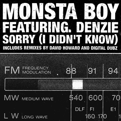 Sorry (I Didn't Know) (Original Radio Edit) - Monsta Boy