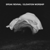 Fullness - Elevation Worship
