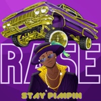 Stay Pimpin - Single - RASE