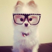 Like 2 (feat. Lor2mg) - Single - aurainairy