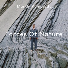 Forces Of Nature (DJ Mix)