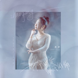 拼命的爱彻底的痛 (伴奏) 赵洋