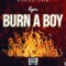 Burn a Boy - Lynx Vashi lyrics