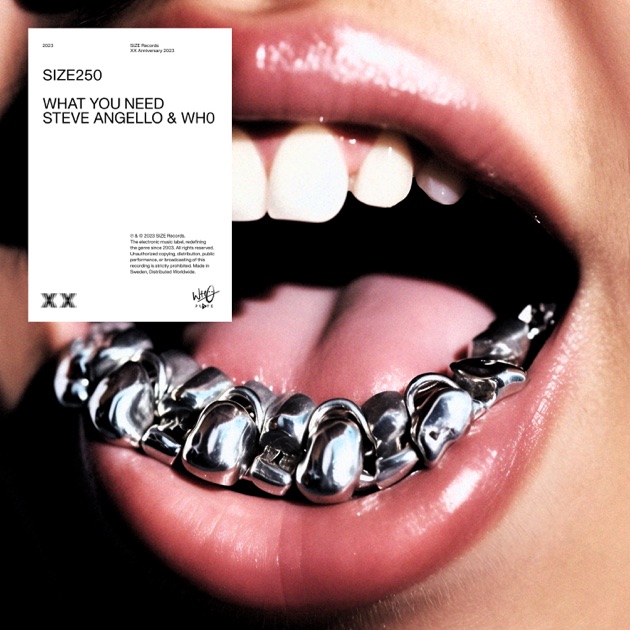 Show Me Love (feat. Robin S.) - Album by Steve Angello