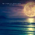 Moonlight Serenade